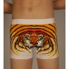 White tiger boxer wholesaler De Bas En Haut Creations